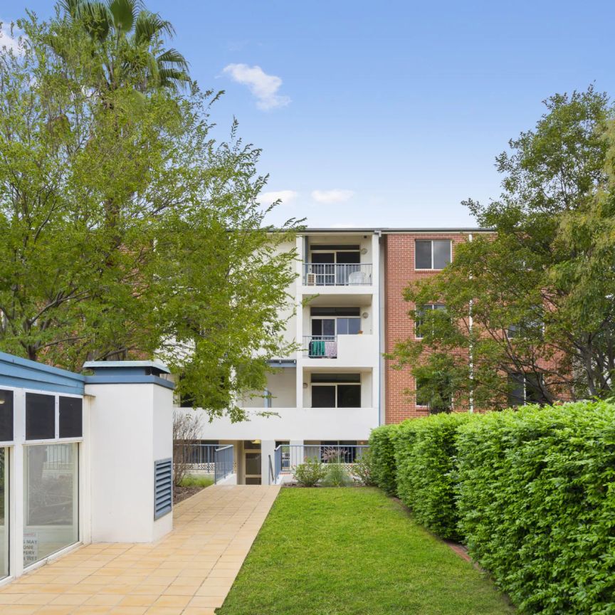 Light-Filled and Spacious Two-Bedroom Apartment - Photo 1