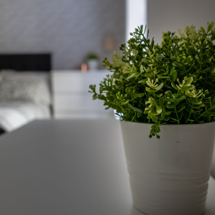 1 bedroom property to rent Tyrwhitt Road, Lewisham, London, SE4 - Photo 1