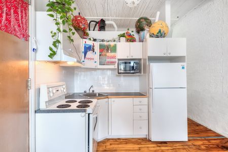 Condo for rent, Montréal (Le Plateau-Mont-Royal) - Photo 4