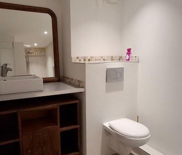 Location Appartement 1 pièce Meublé 19m² STE FOY LES LYON 69110 - Photo 6