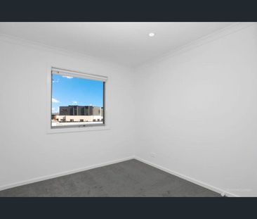 82 Carnival Boulevard, Berwick, Vic 3806 - Photo 3