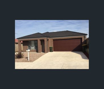 Well maintained 3 bedroom , 2 bathroom home! - Photo 4