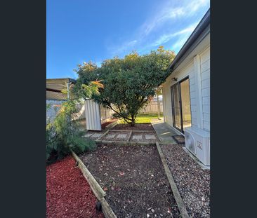 Modern & Low-Maintenance Granny Flat In Prime Location - Photo 4