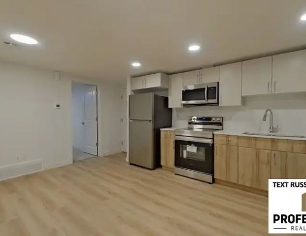 BRAND NEW 2 Bed / 1 bath LEGAL Basement Suite in SE Edmonton | 1039 Aster Boulevard, Edmonton - Photo 1