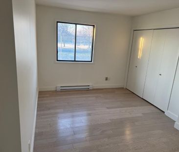 Anjou, 3 1/2 à louer libre immédiatement - Photo 1