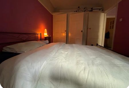 Room in a Shared Flat, Oakley House, W1W - Photo 4