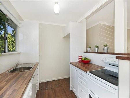 15 Laufer Street, Heatley - Photo 4