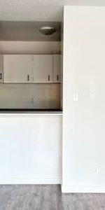 *VGH Cambie/14th*Modern 1 Br Apt*Laminate Floors**Value* - Photo 3