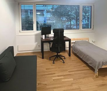 1.5 Zimmer, 24 m², 1. Stock - Foto 2