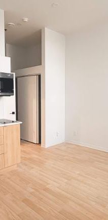 1 CH - 1 SDB - Montréal - $1,195 /mo - Photo 1