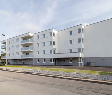 Wieselburg - Erstbezug –energiesparende 2 Zimmerwohnung mit Kaufoption - Photo 3