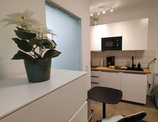 Vollmöbliertes Apartment zur ALL-IN Pauschalmiete - Foto 1