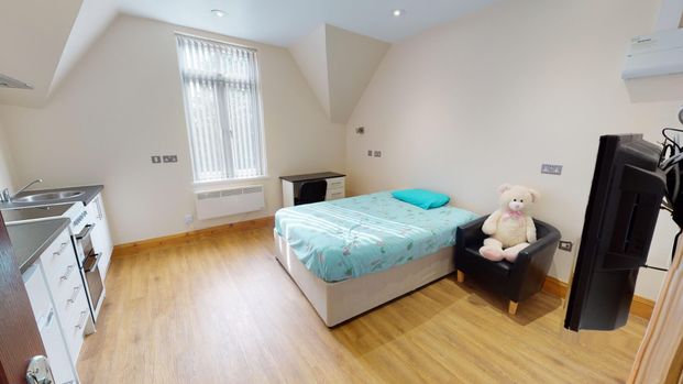 3 Raglan Road Edgbaston - Photo 1