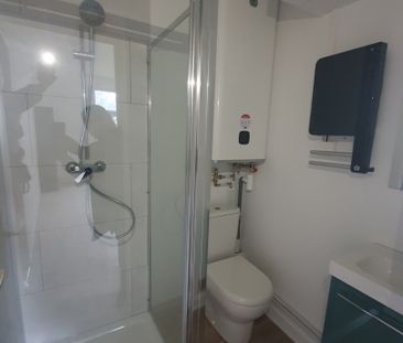 Location Appartement 1 pièce 32m² LOUVROIL 59720 - Photo 3