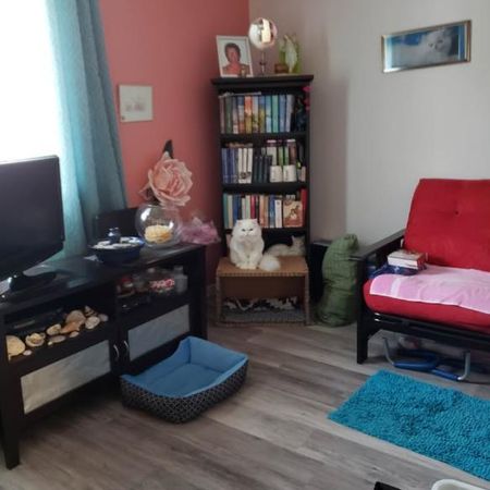 À LOUER – Magnifique 4 ½ très éclairé | 1 500 $/mois - Photo 4