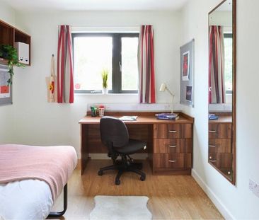 Studio to rent - Photo 6