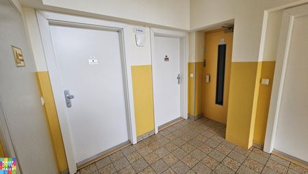 Top 2-Zimmerwohung im obersten Stock – Erstbezug nach Sanierung – unbefristeter Mietvertrag - Foto 5