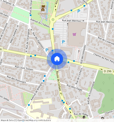 STE GENEVIEVE DES BOIS (91700)