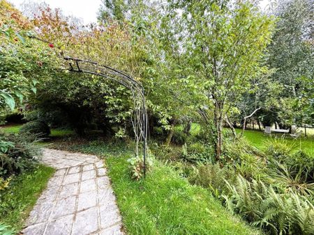 East Holcombe, Shillingford - Photo 2