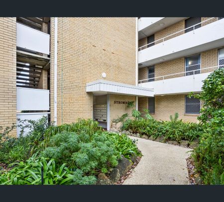 44/27 St Leonards St, Mosman Park, WA 6012 - Photo 5