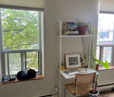 Gladstone Suites — Large Bright 1 bedroom - Photo 4