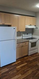 1 Bedroom Downtown Apartment with in suite laundry and secured parking - Photo 3