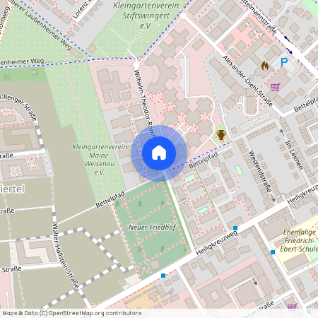 Wilhelm-Theodor-Roemheldstrasse Mainz Mainz Rheinland-Pfalz 55130