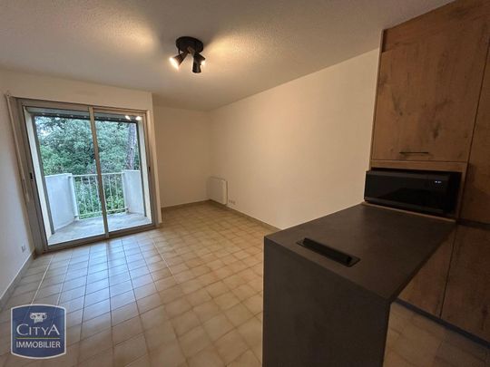 Location Appartement 1 pièce MONTPELLIER 34090 - Photo 1