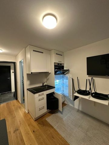 Newly built 1-room studio (13 m²) for rent from 01.03.2026 - Photo 4