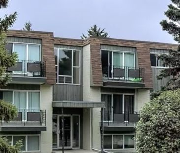 Updated 1 Bed Suite | Pet Friendly | In-Suite Laundry | Quiet Mature N - Photo 4