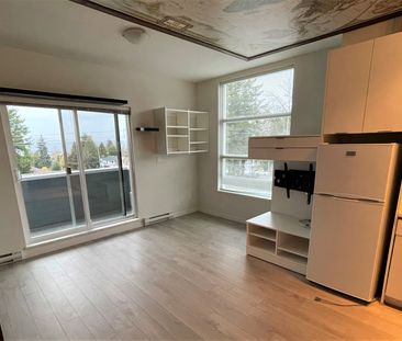 Bachelor Suite For Rent In Surrey/ Pets Allowed. - Photo 4