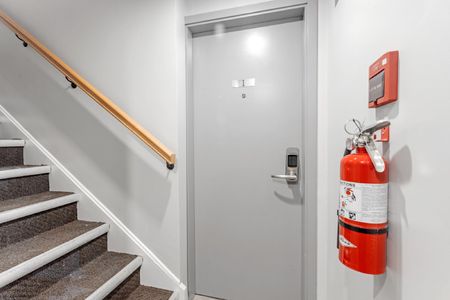 46 Nelson Street - 1 - Photo 3