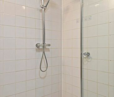 Voorjaarstraat - Photo 5