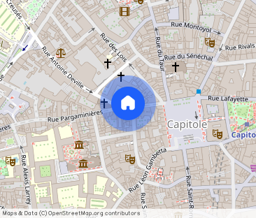 Appartement au coeur du centre ville toulousain - Photo 1