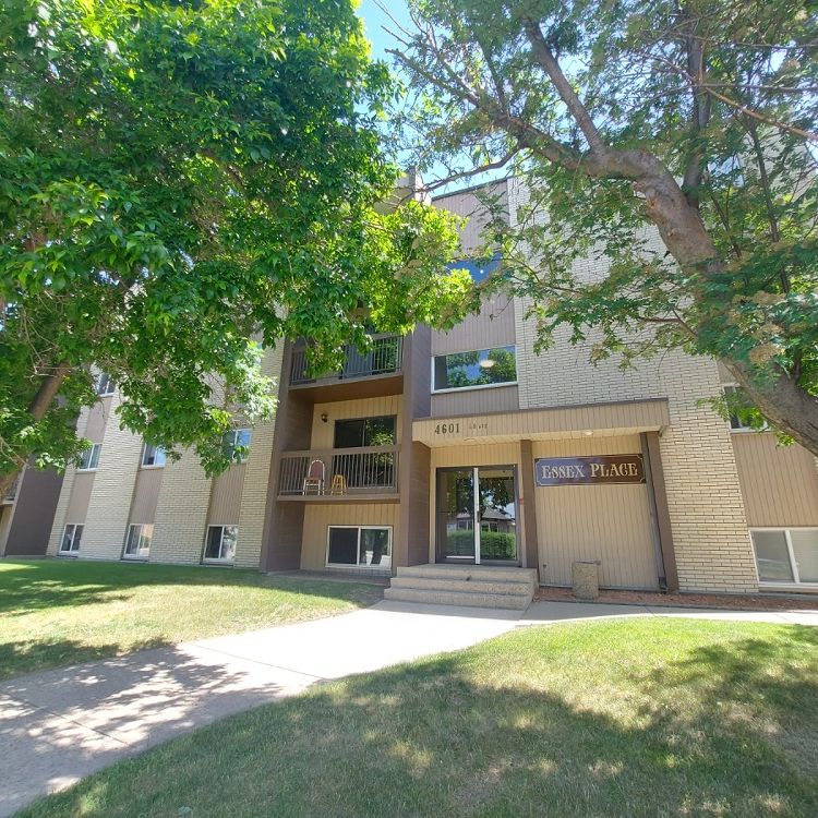 Beautiful 1 Bedroom Unit in Parkvale! - Photo 2