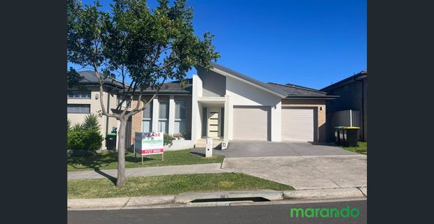 WALK TO THOMAS HASSEL COLLEGE - Photo 1