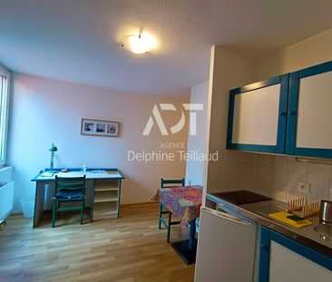 Location Appartement 1 pièce 18m² GRENOBLE 38000 - Photo 3