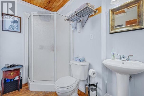 34 Prescott Street, St. John's, Newfoundland & Labrador - Photo 1