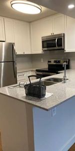 Elevator, Pet-Free, 1/bd 1/ba - Photo 4