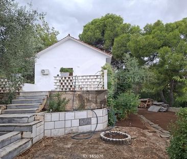 Μονοκατοικία για ενοικίαση Ωρωπός - Photo 1