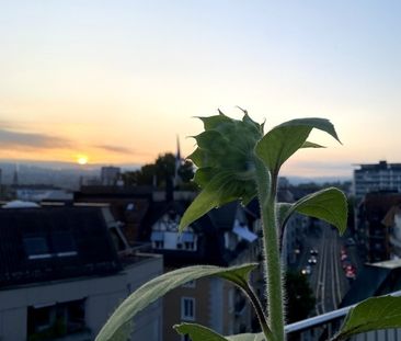 1½ ZIMMER-DACHWOHNUNG IN ZÜRICH - KREIS 3 SIHLFELD, MÖBLIERT, TEMPORÄR - Photo 5
