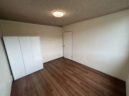 BRIGHT THREE BEDROOM APARTMENT! - Photo 3