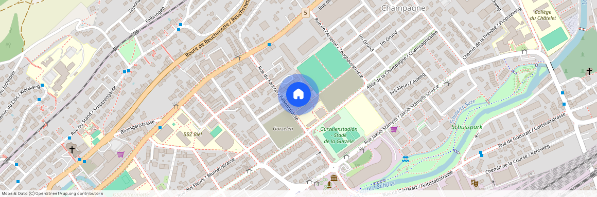 2502, Biel/Bienne, Rue Du Faucon / Falkenstrasse, 35