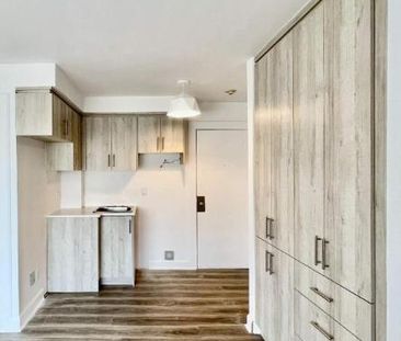 Studio - Montréal - $1,055 /mo - Photo 3