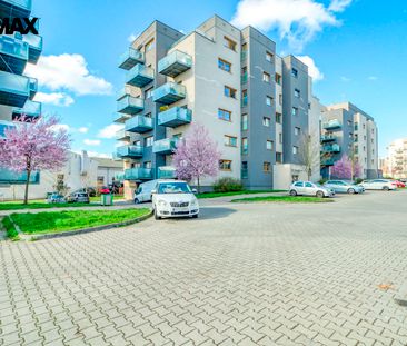 Pronájem bytu 3+kk v osobním vlastnictví 53 m², Plzeň - Photo 4