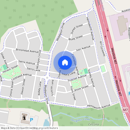 4 Treacy Avenue, NSW 2171, Middleton Grange