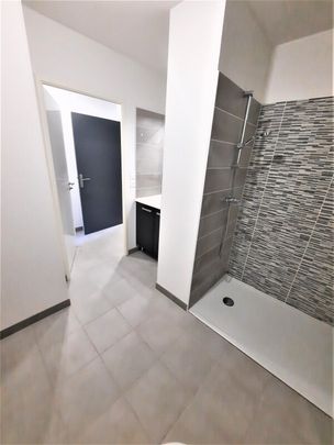 Location Appartement 1 pièce 22m² CASTANET TOLOSAN 31320 - Photo 1