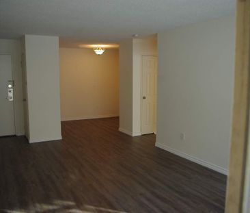 Arcadia Apartments - Photo 3