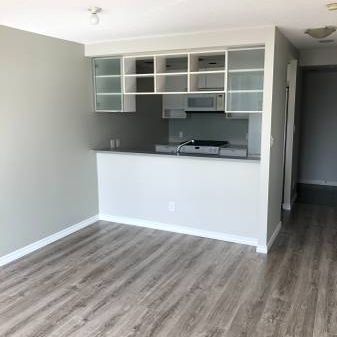 *** INCREDIBLE 1 BEDROOM + DEN CONDO FOR RENT AT THE MAX *** - Photo 4