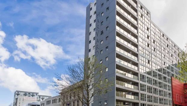 AUCKLAND CITY, 2 BEDROOMS - Photo 1